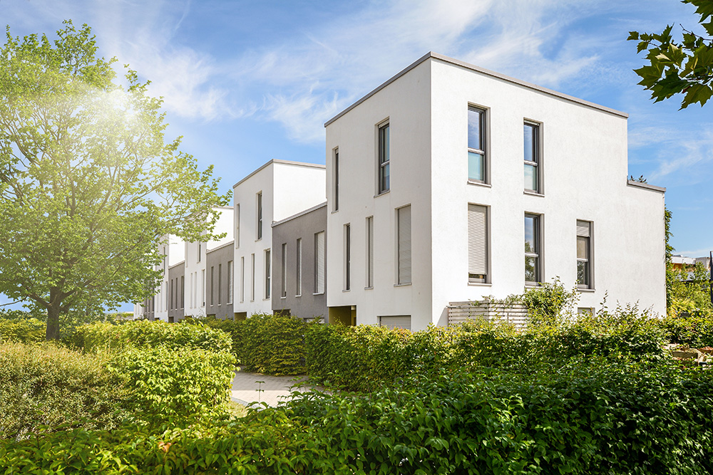 What are the latest trends in eco-friendly estate planning image